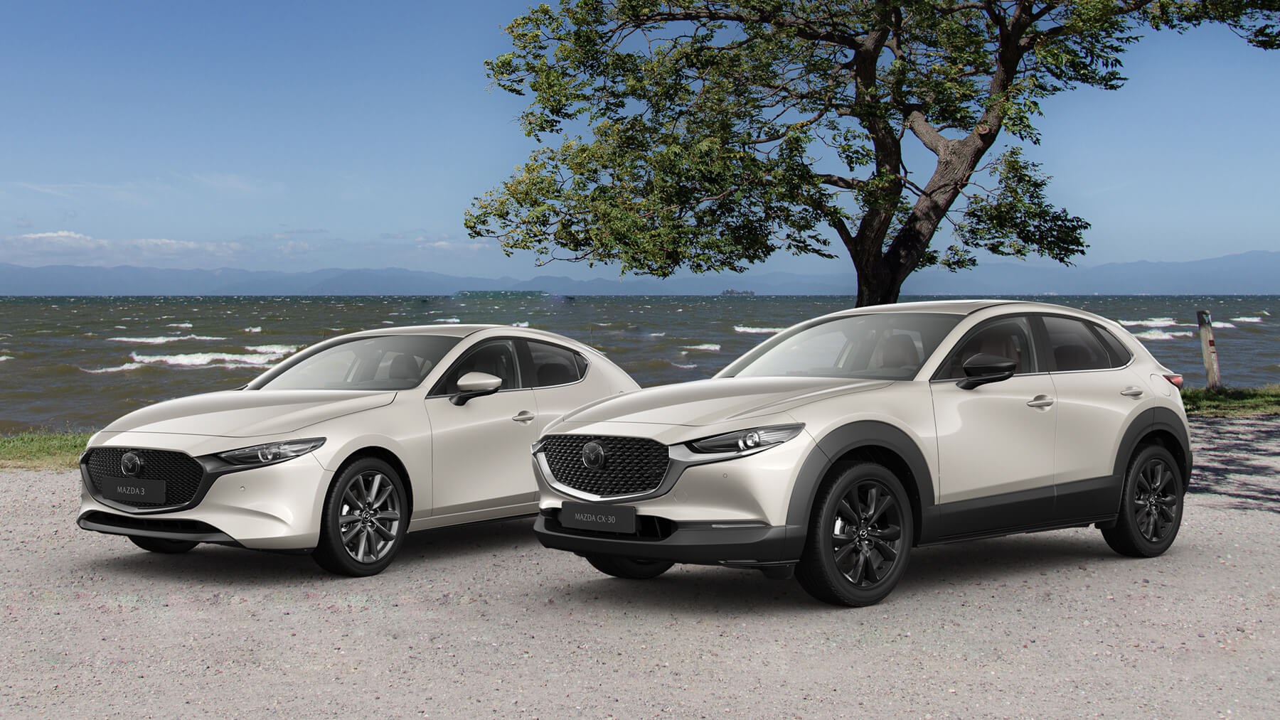MAZDA M HYBRID